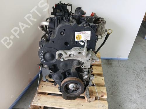 Motor FORD FIESTA VI (CB1, CCN) [2008-2017]  18253803