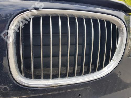 Used Front grille Front grille BMW 7 (F01, F02, F03, F04) 730 d (245 hp) 11118120 11118120