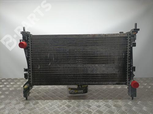 Used Water radiator Water radiator PEUGEOT BIPPER (AA_) [2008-2026] 10050831 10050831