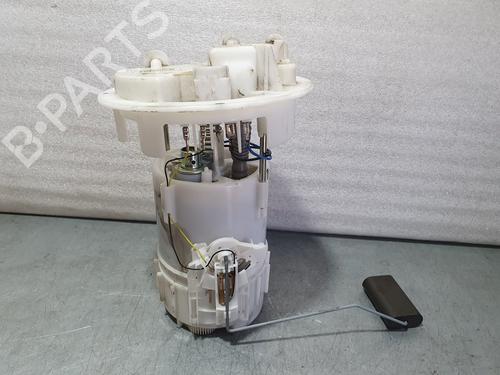 Fuel pump CITROËN C-ELYSEE (DD_)  | BP13624033M76