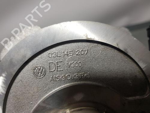 Vacuum pump SEAT IBIZA IV SC (6J1, 6P5)  | BP8501887M80