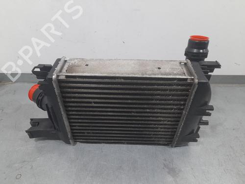 Used Intercooler DACIA DOKKER Box Body/MPV 1.5 dCi (FEAJ) (90 hp) 31885530