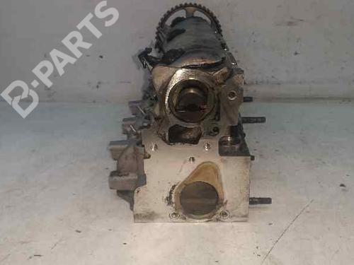 Cylinder head RENAULT MEGANE II Saloon (LM0/1_) 1.9 dCi (LM0G, LM1G, LM2C) | BP10973106M5 