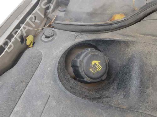 Ekspansjonstank RENAULT MEGANE II Saloon (LM0/1_) [2003-2025]  22971572