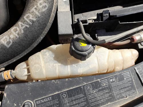 Used Expansion tank RENAULT CLIO III (BR0/1, CR0/1) 1.5 dCi (75 hp) 29891088