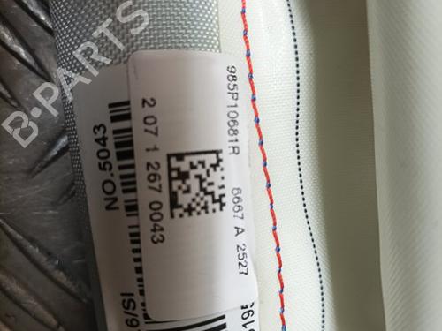 Right curtain airbag RENAULT SCÉNIC III (JZ0/1_)  | BP15505466C12 