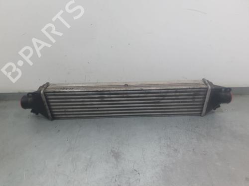 Used Intercooler Intercooler FIAT DOBLO Cargo (263_) 1.6 D Multijet (263WXD1B, 263WXR1B, 263WXX1B, 263ZXD1B,... (105 hp) 34628309 34628309