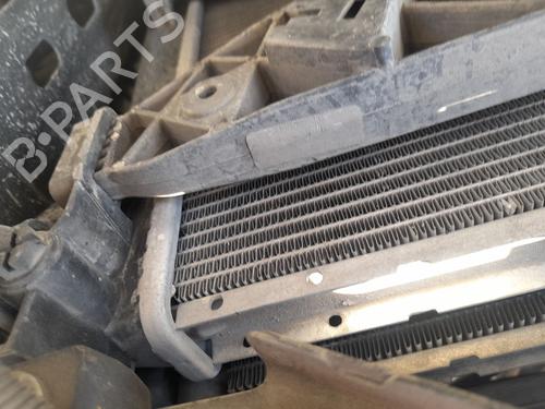 Used Water radiator FIAT BRAVO II (198_) 1.9 D Multijet (198AXC1B) (150 hp) 31190809