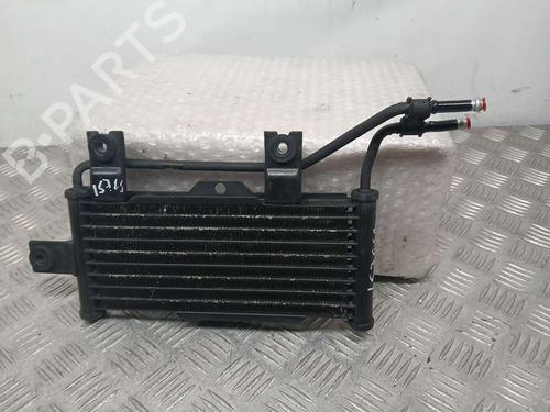 Oliekøler KIA MAGENTIS II (MG) [2005-2011]  19746363