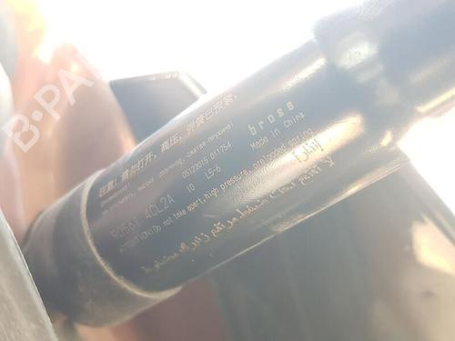 Used Tailgate lift support NISSAN X-TRAIL III (T32_, T32R, T32RR) 1.6 dCi (T32) (130 hp) 29595031