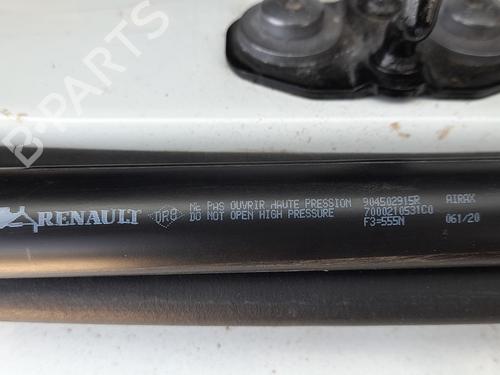 tailgate-lift-support-renault-zoe-bfm_-2012-33556958 main image