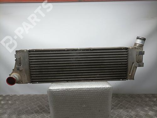Used Intercooler RENAULT MEGANE II (BM0/1_, CM0/1_) [2001-2012]  11222573