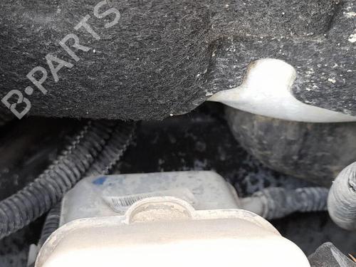 Used Servo brake FIAT DOBLO Cargo (263_) 1.6 D Multijet (263WXD1B, 263WXR1B, 263WXX1B, 263ZXD1B,... (105 hp) 30100437