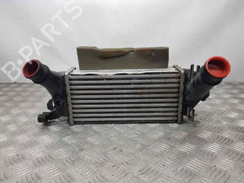 Intercooler FORD ECOSPORT  | BP22645130M30 