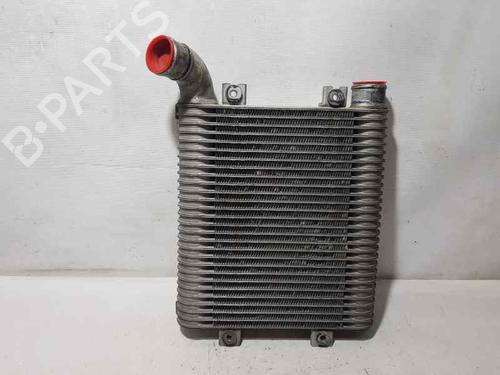 Used Intercooler HYUNDAI SANTA FÉ I (SM) [2000-2006]  3720787