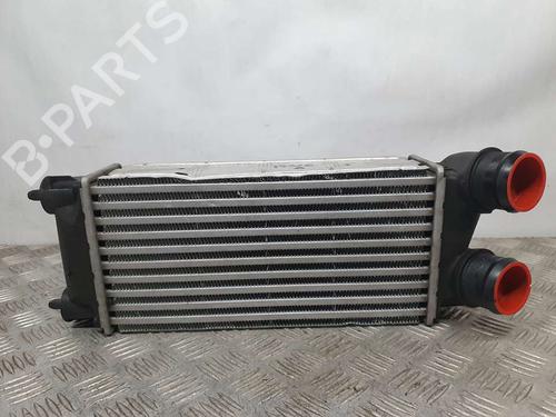 Used Intercooler DS DS 4 / DS 4 CROSSBACK (NX_) [2015-2018]  17903364