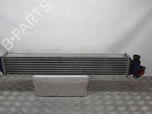 Used Intercooler HONDA CIVIC X Hatchback (FC_, FK_) 1.0 VTEC (126 hp) 30542527