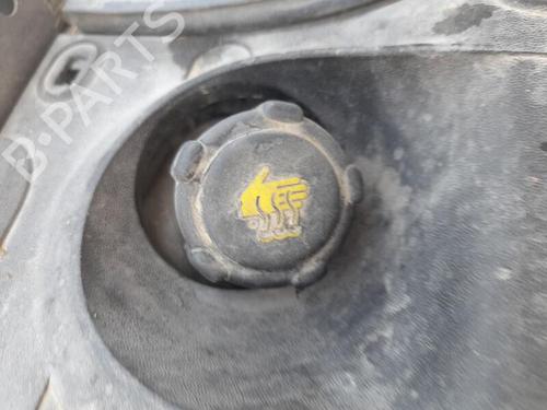 Used Expansion tank RENAULT MEGANE II (BM0/1_, CM0/1_) 1.6 16V (BM0C, CM0C) (113 hp) 27324674