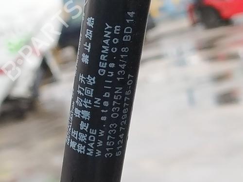 tailgate-lift-support-bmw-i3-i01-2013-33428469 main image