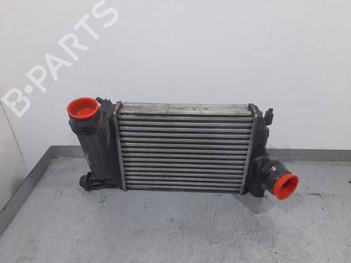 Used Intercooler NISSAN QASHQAI II (J11, J11_) 1.2 DIG-T (115 hp) 28193349