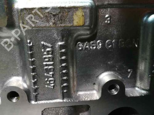 Cylinder head FIAT BRAVO I (182_)  | BP12498945M5 