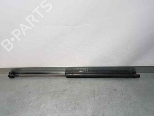 Gassdemper Bakluke FORD KUGA I [2008-2012]  14011759