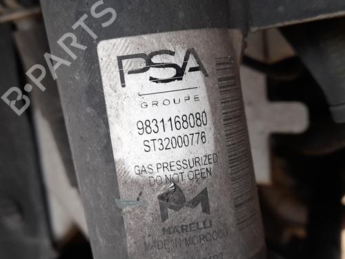 BP31015216M17 main image