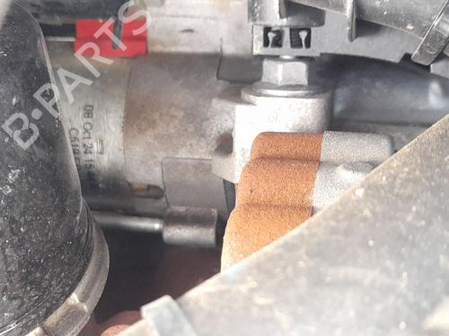 Used Starter Starter FORD PUMA (J2K, CF7) 1.0 EcoBoost mHEV (125 hp) 36306403 36306403