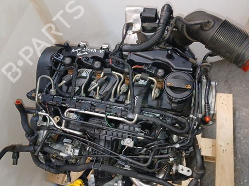 Engine SEAT TOLEDO IV (KG3) 1.6 TDI | BP34099728M1  - Image 7