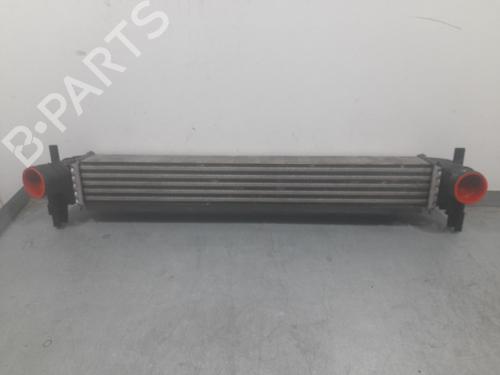 Used Intercooler SEAT IBIZA IV (6J5, 6P1) 1.6 TDI (90 hp) 31184852