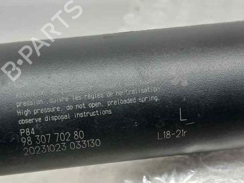 Tailgate lift support PEUGEOT 3008 II SUV (MC_, MR_, MJ_, M4_)  | BP20723031C138 