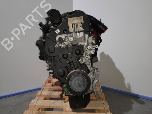 Motor FORD FIESTA VI (CB1, CCN) [2008-2017]  8399069