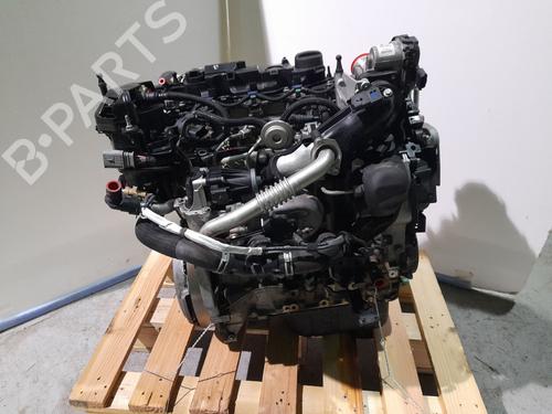Engine FORD FIESTA VII (HJ, HF) | BP32258820M1