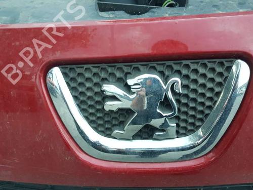Used Grille PEUGEOT 307 SW (3H) [2002-2009]  19310558