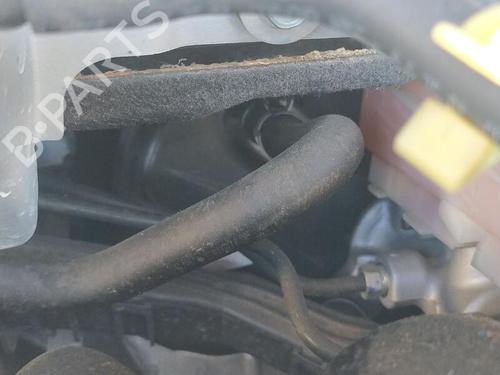 Used Servo brake HONDA CIVIC X Hatchback (FC_, FK_) 1.0 VTEC (126 hp) 25036402