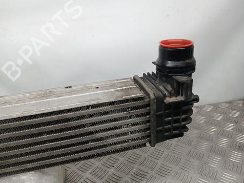 Intercooler RENAULT MEGANE III Hatchback (BZ0/1_, B3_)  | BP25442990M30 