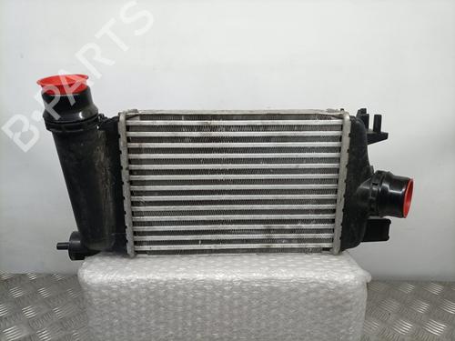 Used Intercooler NISSAN MICRA V (K14) 1.0 DIG-T 117 (117 hp) 10956264