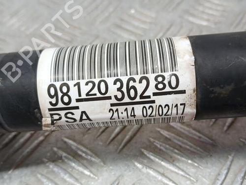 Left front driveshaft CITROËN C-ELYSEE (DD_)  | BP20111662M38 