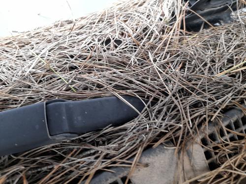 Used Front wiper motor NISSAN ALMERA I (N15) 2.0 D (75 hp) 31973626