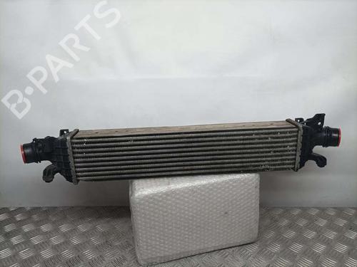 Used Intercooler CHEVROLET AVEO / KALOS Hatchback (T250, T255) 1.4 (101 hp) 12565719