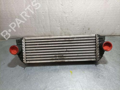 Used Intercooler FORD TOURNEO CONNECT [2002-2013]  17439896