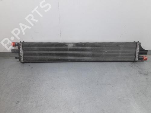 Used Water radiator NISSAN NV400 Van (X62, X62B) dCi 130 (130 hp) 31042242