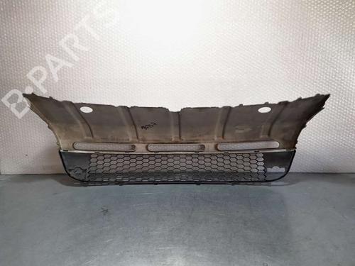Grille SKODA OCTAVIA II Combi (1Z5) 2.0 TDI 4x4 | BP19268920C40 