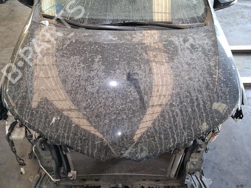 hood-toyota-auris-_e18_-2012-2013-2014-2015-2016-2017-2018-2019-38073348 main image