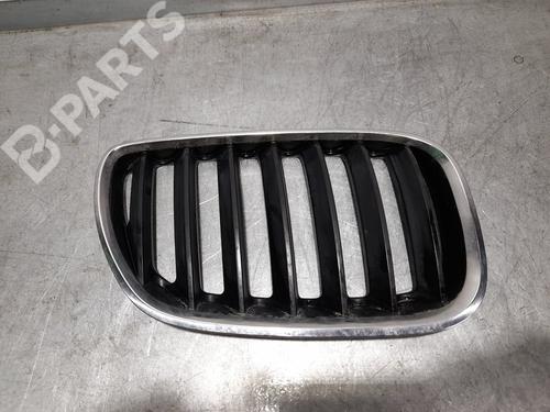 front-grille-bmw-x5-e53-30-d-2000-2001-2002-2003-2004-2005-2006-10037843 main image