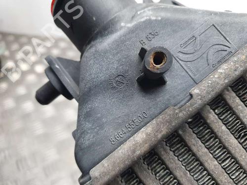Intercooler FIAT BRAVO II (198_)  | BP7546558M30 