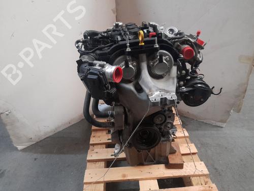 Used Engine FORD FIESTA VI (CB1, CCN) [2008-2026]  22973951