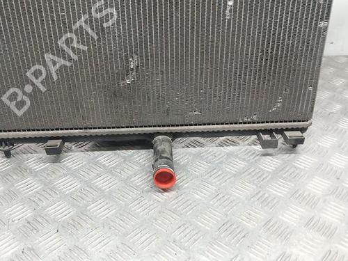 Water radiator CITROËN C5 III (RD_)  | BP29354465M31 