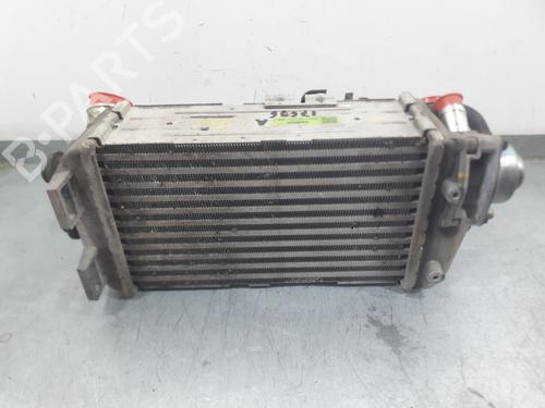 Used Intercooler Intercooler KIA STONIC (YB) 1.0 T-GDi (120 hp) 35981965 35981965