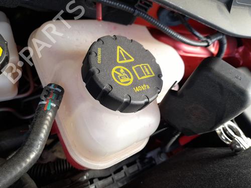 Ekpansionstank MG MG ZS SUV (AZS1) 1.0 T-GDi (111 hp) 29891147